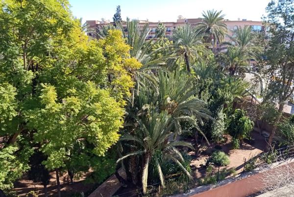 Magnifique appartement de très haut standing loué vu sur les jardins Majorelle